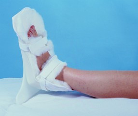 Imagen de Plameca Summum propol 50 cápsulas