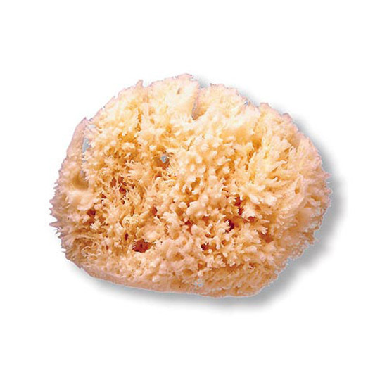 Imagen de Suavinex Esponja natural grande